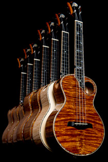 customized ukulele